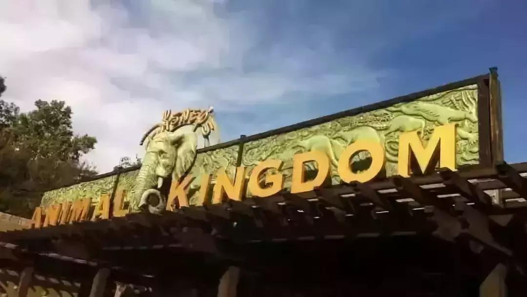 武汉建博会地点,建博会举办对武汉有什么影响