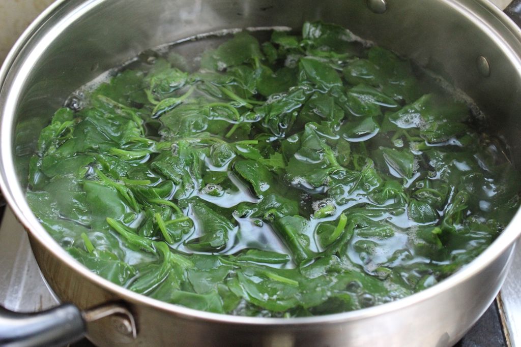 “八珍何得望藜羹”——揭开被陆游推崇备至的灰条菜的美食之谜