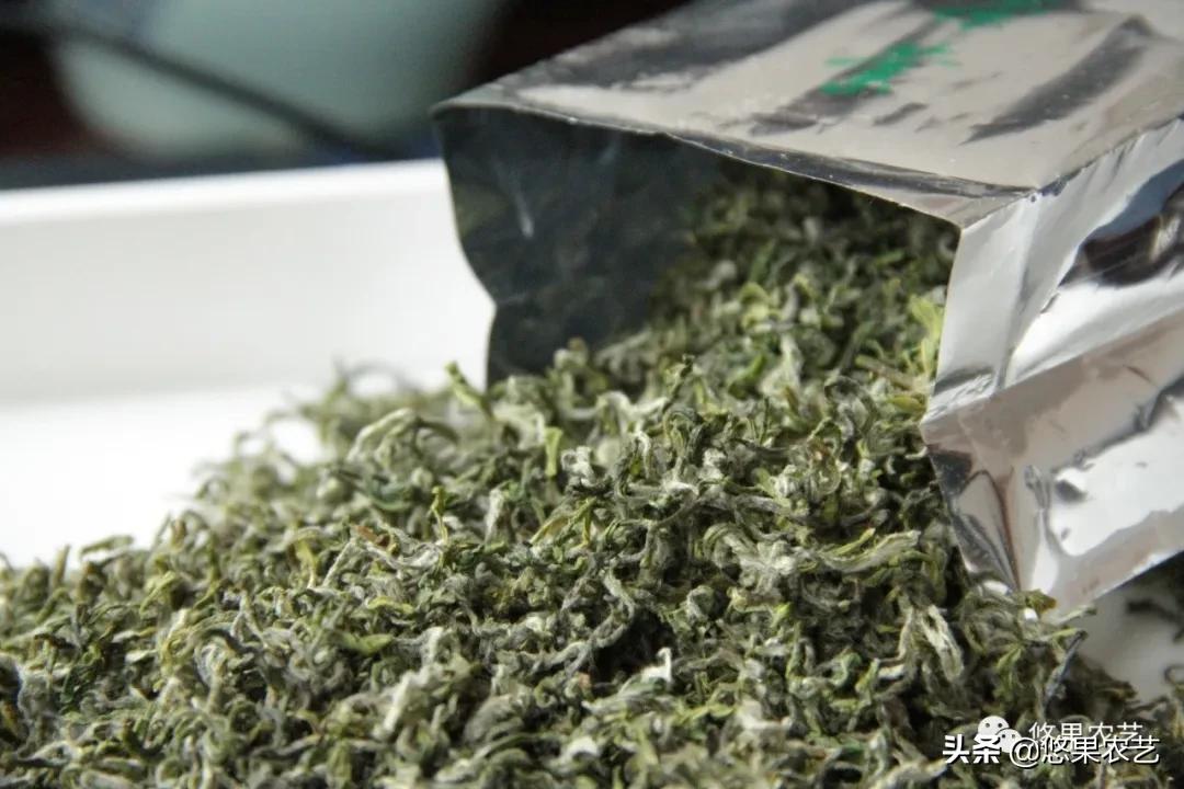 普陀佛茶明前茶,2017普陀佛茶