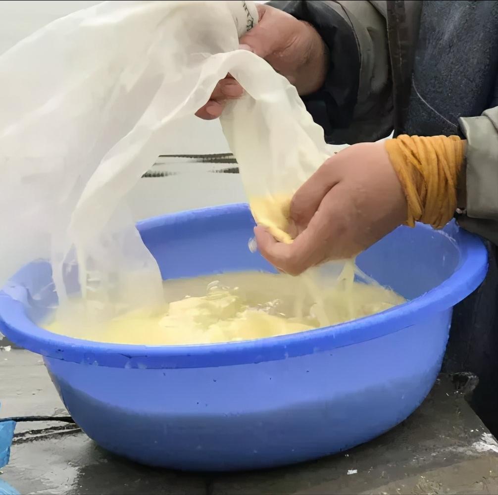 土塘水花鱼苗培育成活率,水花鱼苗养殖投喂什么饲料