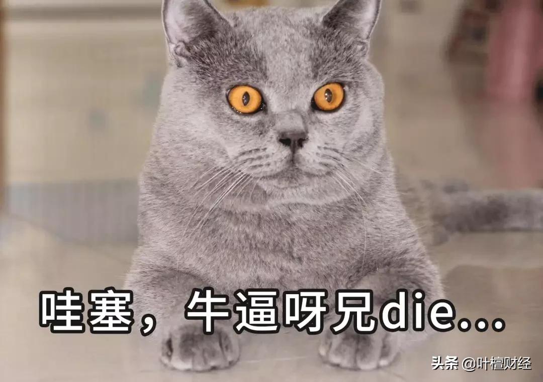 京东方为何大跌不止,京东方被低估了吗