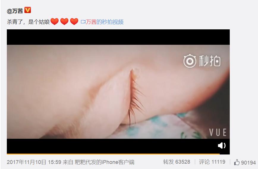 乘风破浪的姐姐们万茜,乘风破浪的姐姐万茜打call阵容