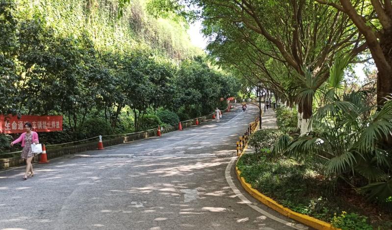 重庆房价为何跌得如此厉害,炒房客集中抛售房价