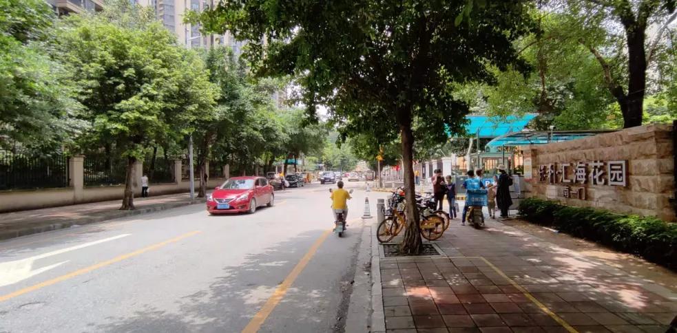 踩盘广州金沙洲,广州金沙洲有哪些新楼盘