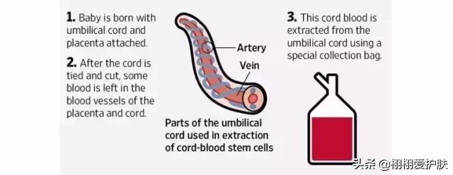 日本脐带血精华副作用,日本脐带血精华效果怎么样