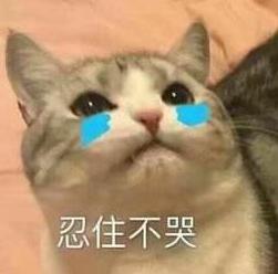 罗永浩第四次直播回放完整版,罗永浩直播首秀被吐槽状况百出