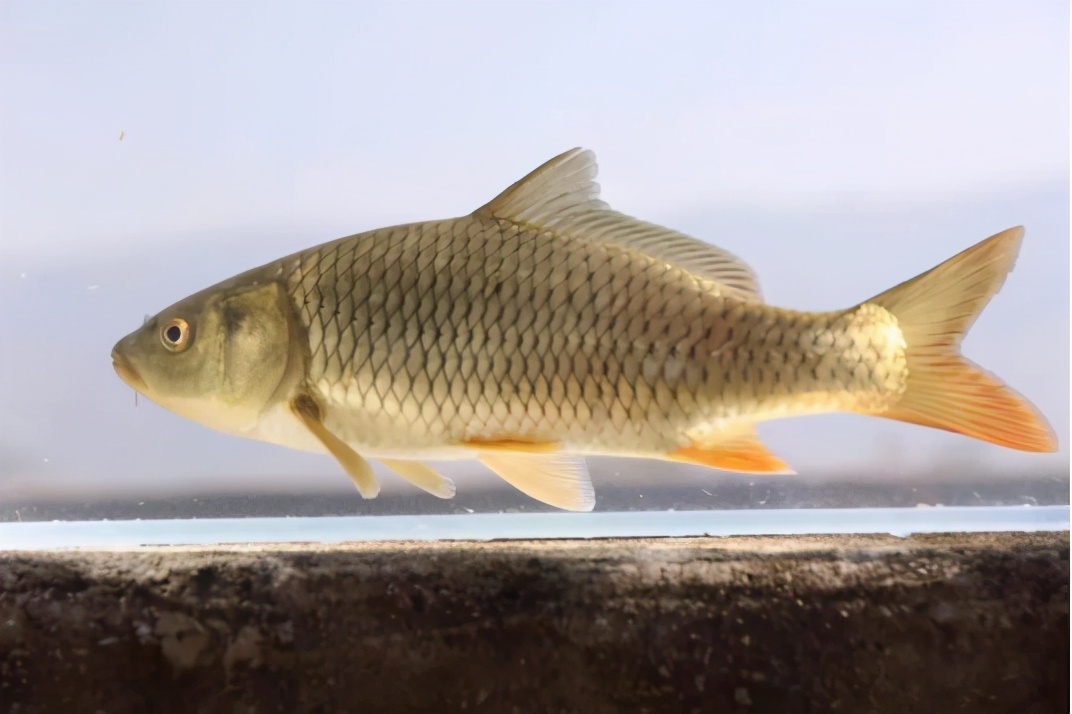 美丽云南第三季纪录片,美丽云南第二季合集