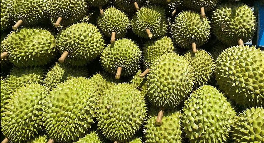 创意趣味儿童画水果,水果简笔画儿童画教程