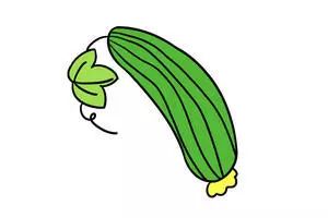 「品牌人物」小丝瓜，大作为，看黄文蒋如何将丝瓜变成致富宝