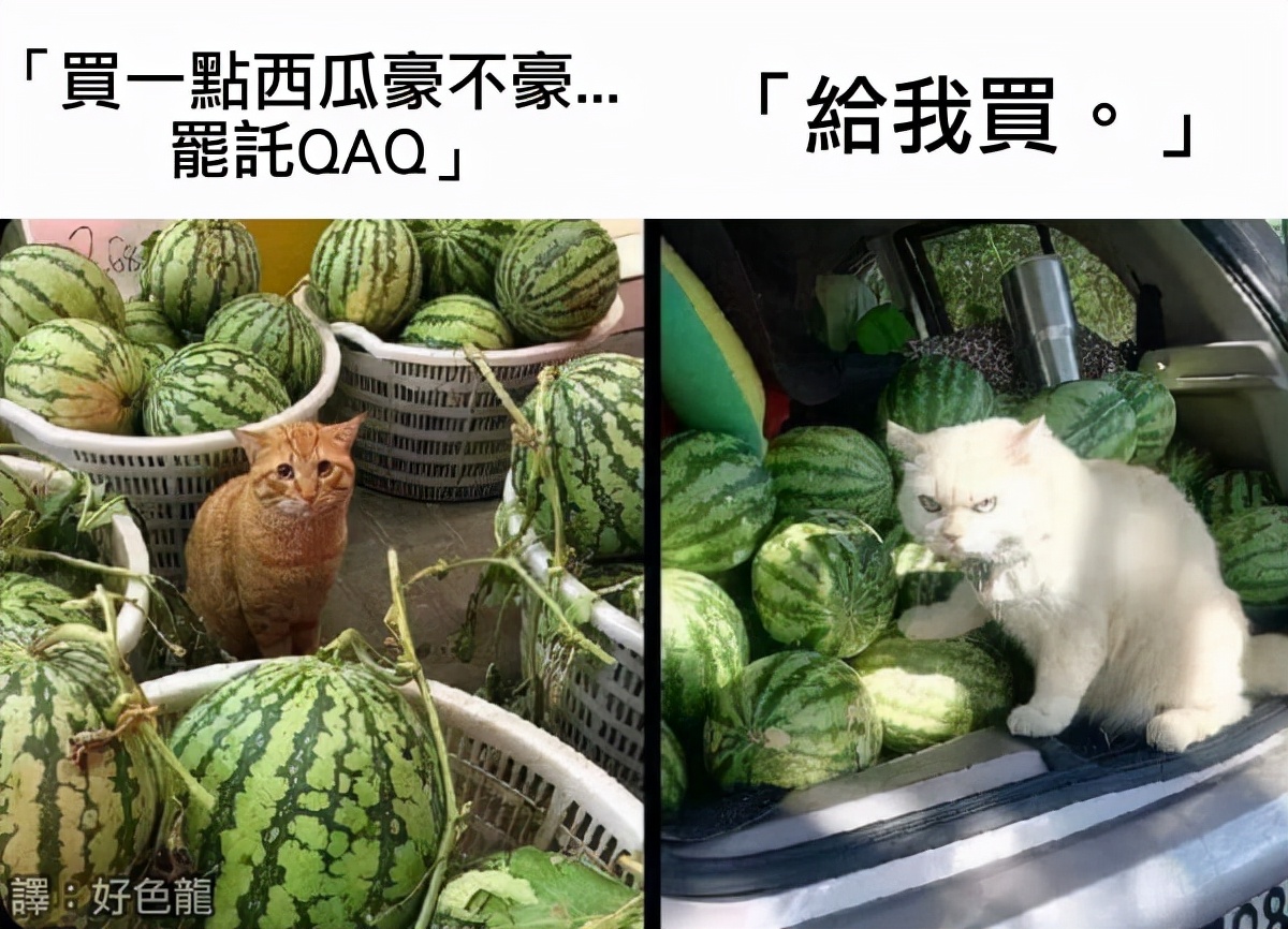 二次元的钱就是好赚,二次元的钱就是这么好赚