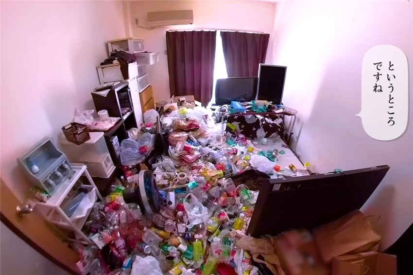 日本人家政服务,日本人家政