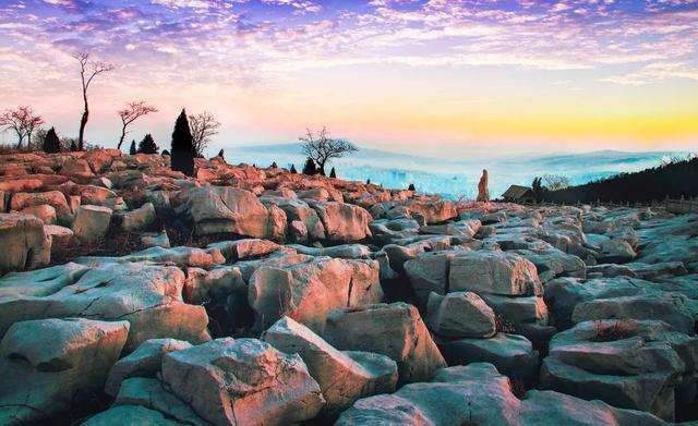 山东有哪些名小吃,山东淄博地区名吃