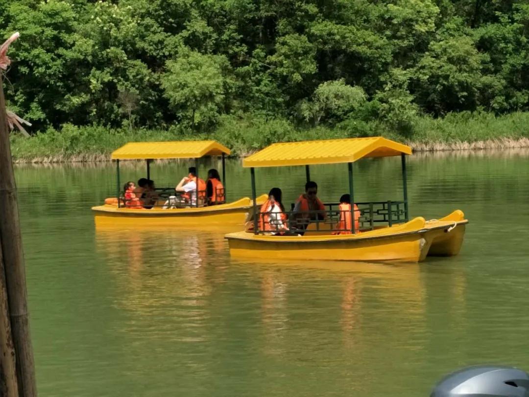 黄陵森林公园哪里好玩,黄陵国家森林公园游玩项目花费