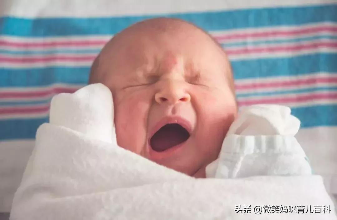 节操碎了一地的原因,节操碎了一地的句子