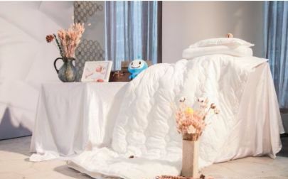 安然纳米科技集团,北京安然纳米