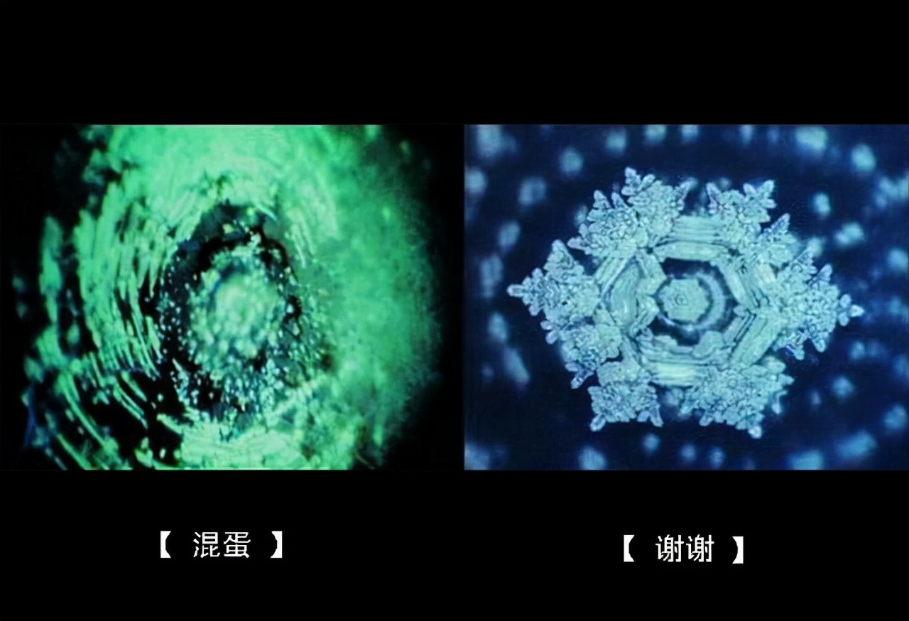 江本胜的水知道答案书籍,江本胜水知道答案视频