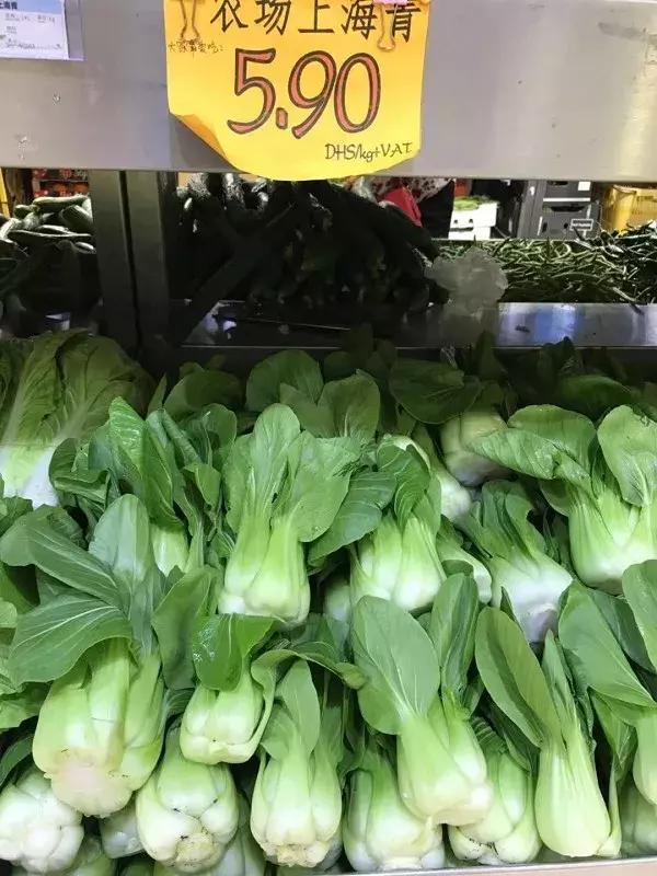 迪拜日常生活怎么样,在迪拜生活的感受