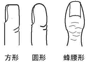 手相解析图哪个是智慧线,手相学中小拇指长短有什么区别