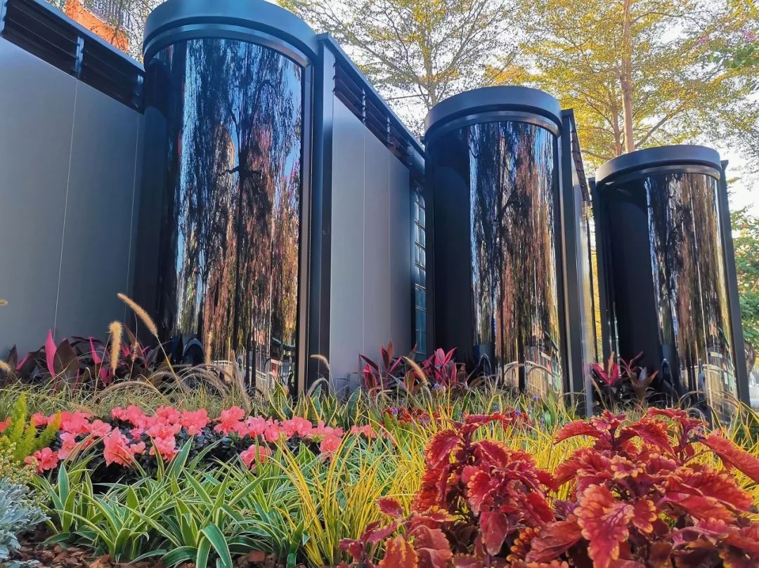 深圳，一个连拉屎都要发朋友圈的城市