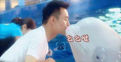 没有买卖就没有伤害的出处,没有买卖就没有伤害动物