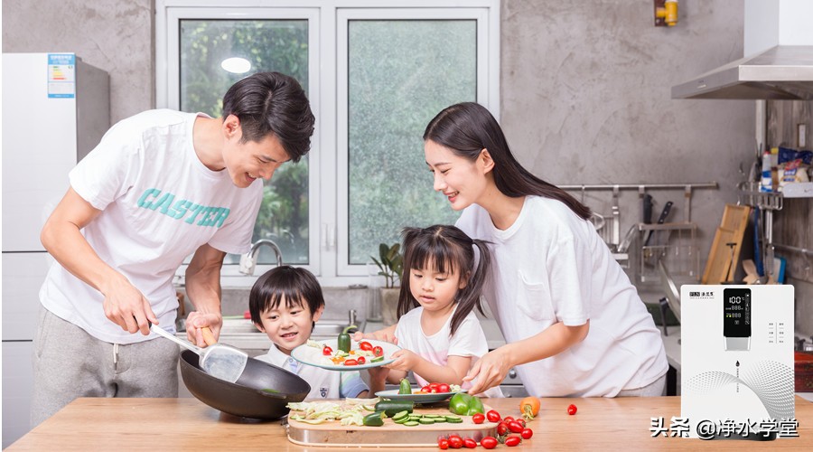 净水器故障大全图解,净水器管线机不通电怎么检查