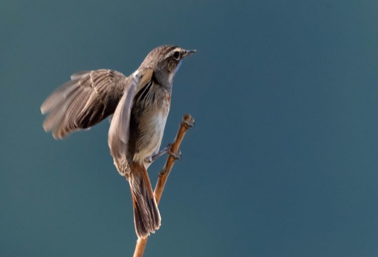 情人岛拍摄地点,情人岛航拍视频
