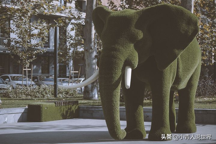 跟阿塞拜疆干架的亚美尼亚，真的很弱吗？它是个怎样的国家？