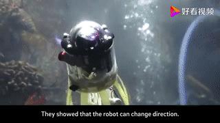 黑科技太空机器人,鱿鱼机器人