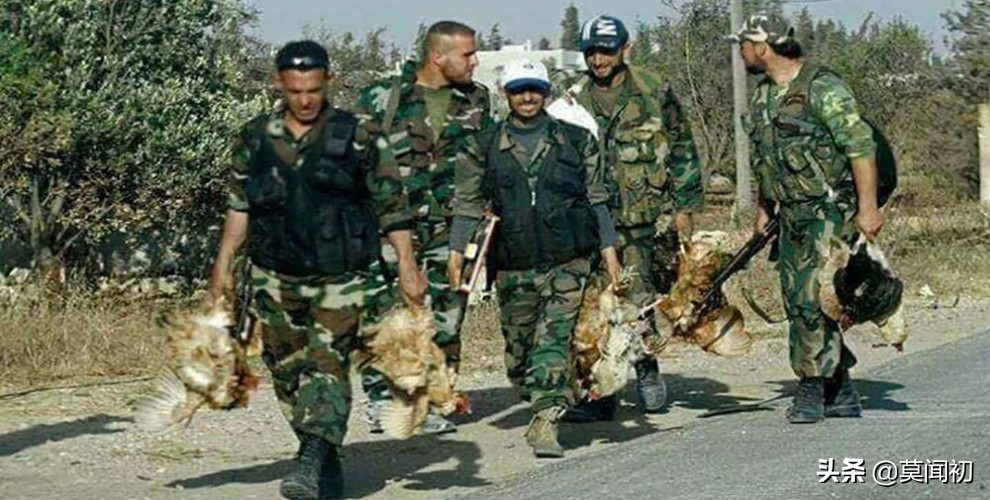 7500万土耳其里拉是多少人民币,叙利亚橄榄油土耳其