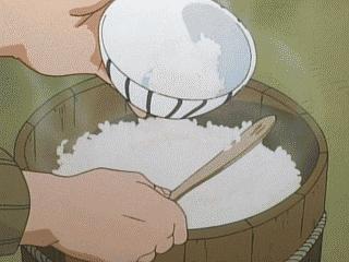 大米里都会生什么样的虫子,大米有黑色小虫子是什么虫子