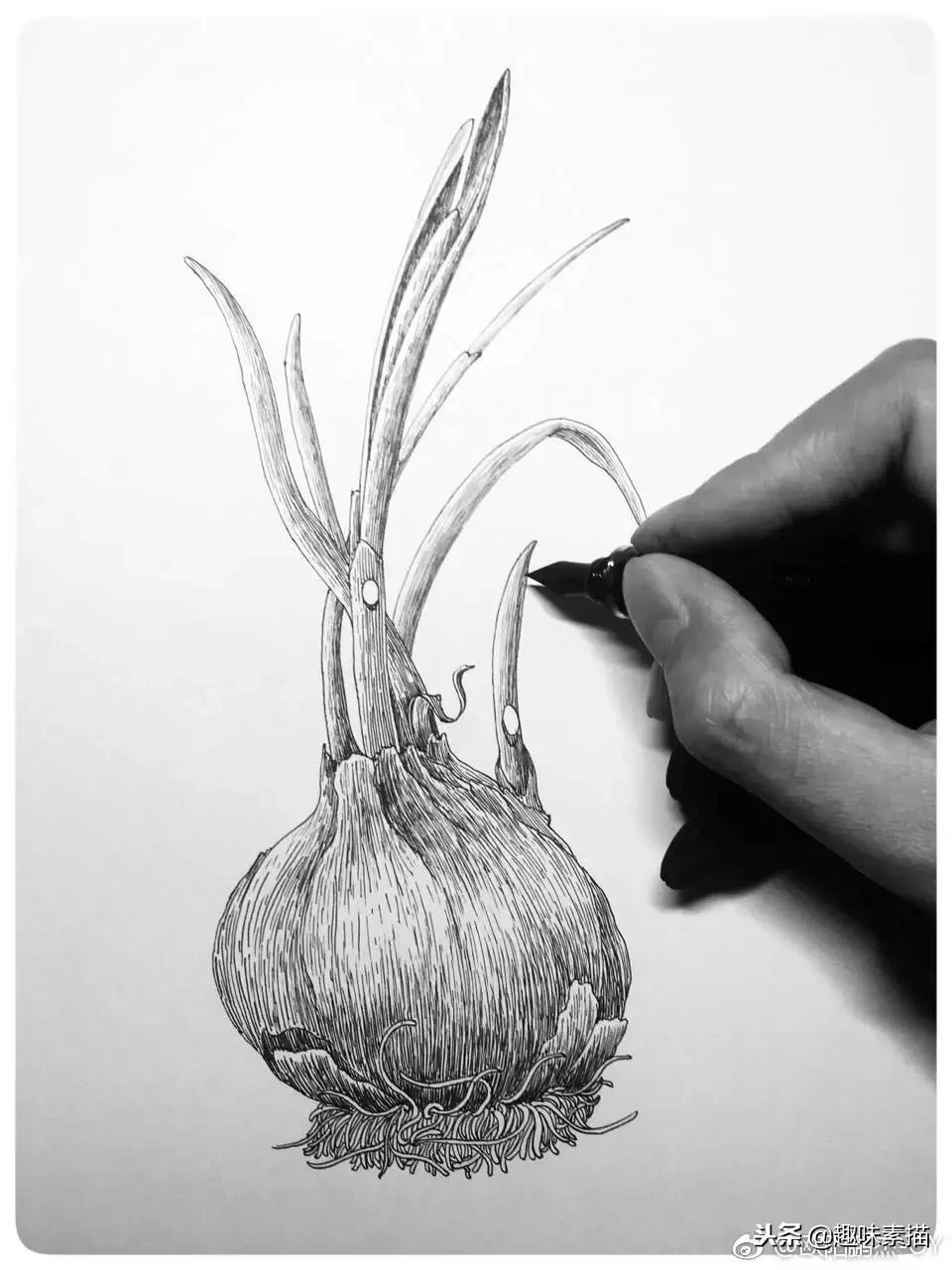 针管笔教程超适合初学者的笔,零基础针管笔教学