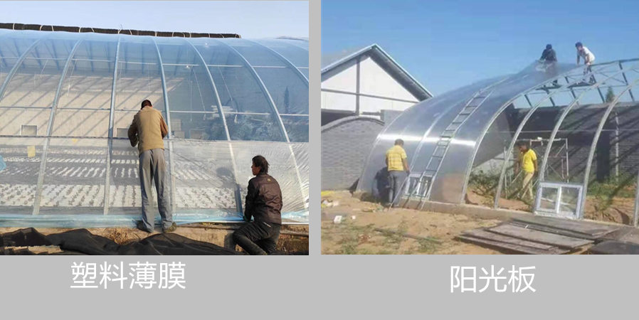 蔬菜种植日光温室时间,日光温室大棚种植什么比较好