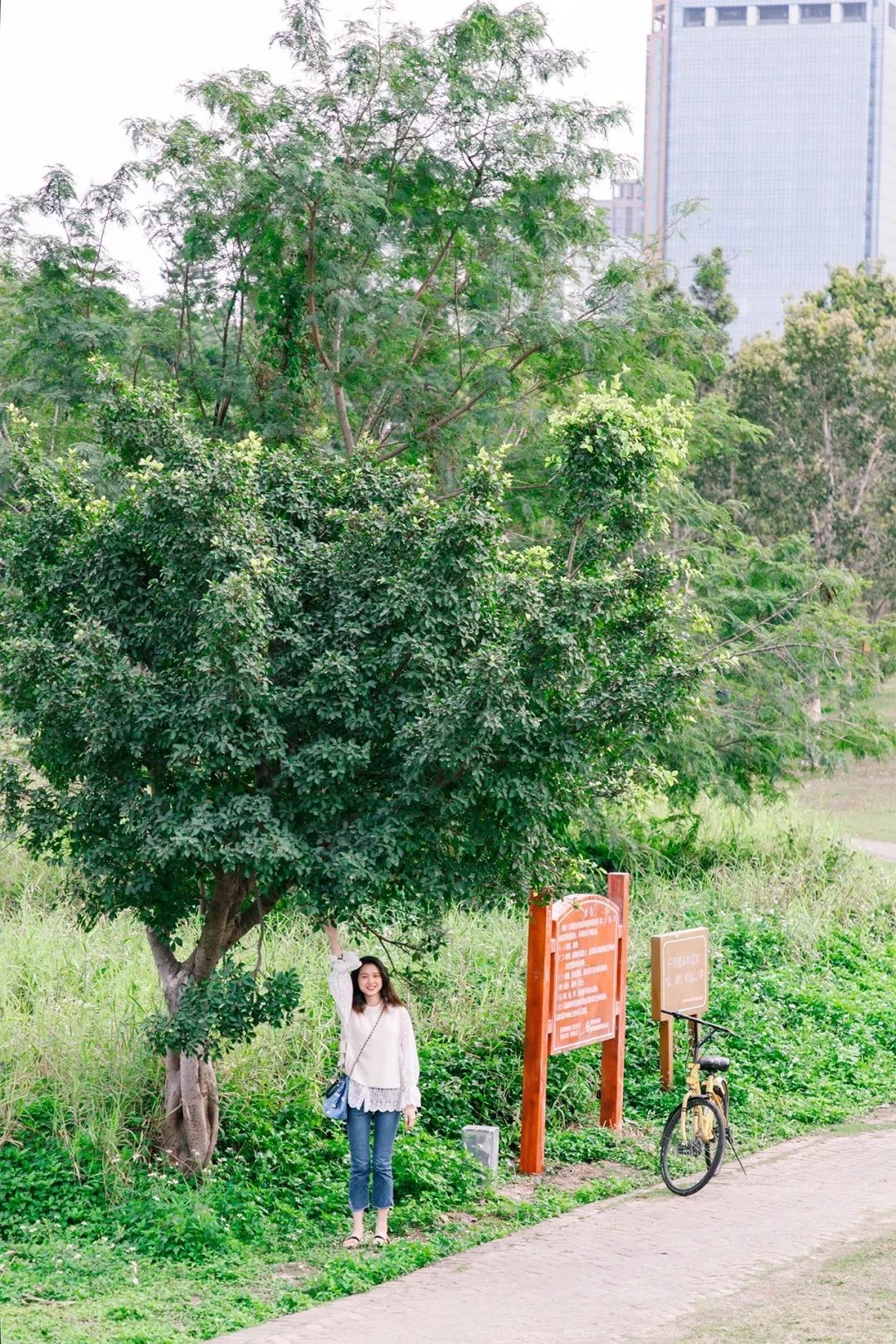 2021深圳免费适合遛娃玩地方排名,深圳免费游玩景点推荐