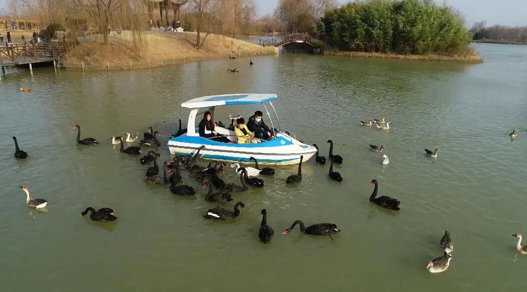 台儿庄一张票能玩几天,一张门票玩一整天