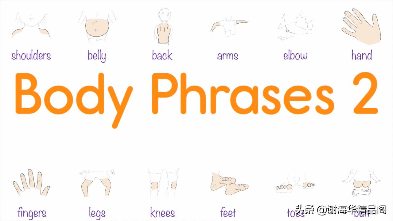 幼儿园启蒙英语教学全英文,幼儿园英语系列教程