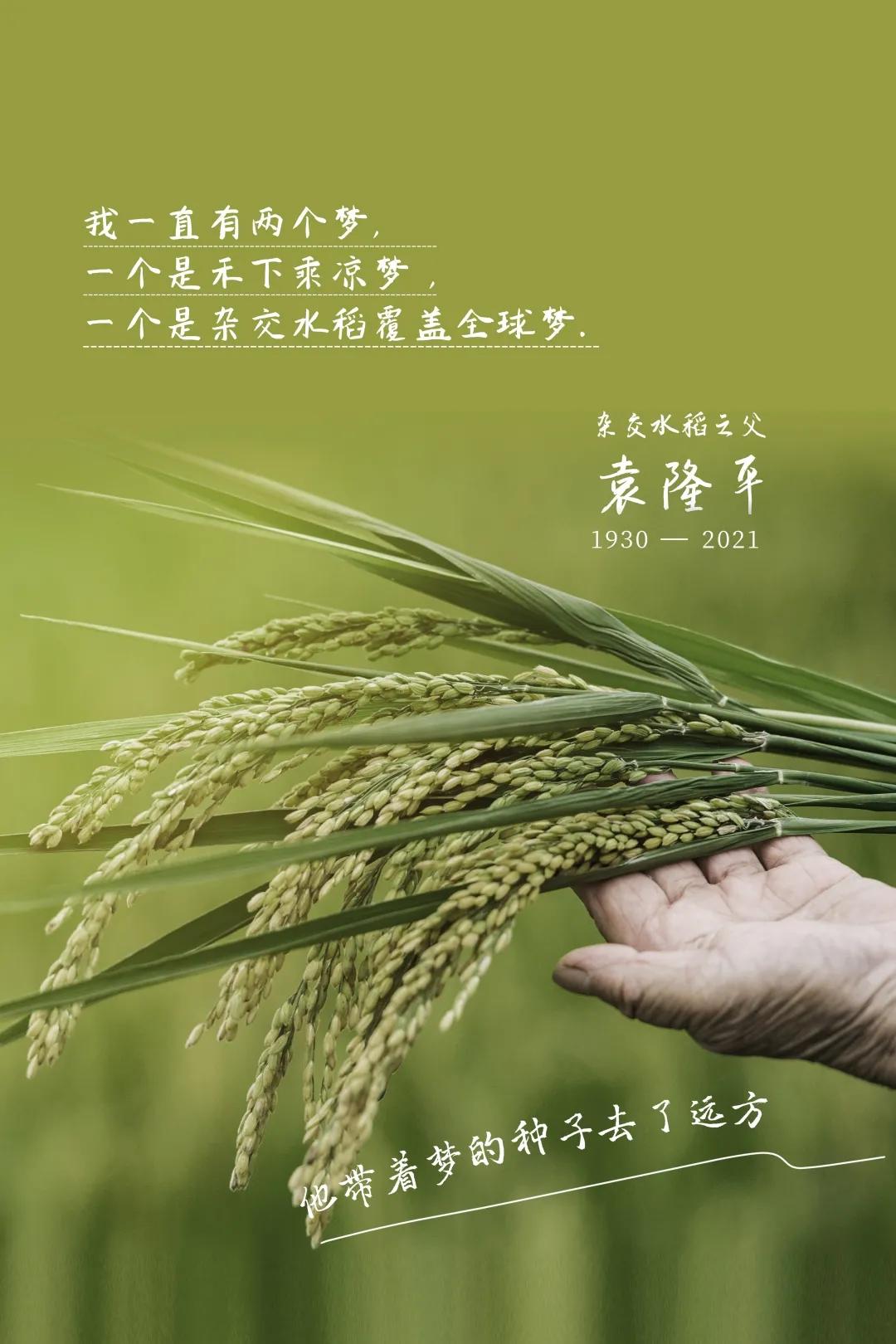 麦迪森健康：这种骨折堪称“人生最后一次骨折”，家有老人必读