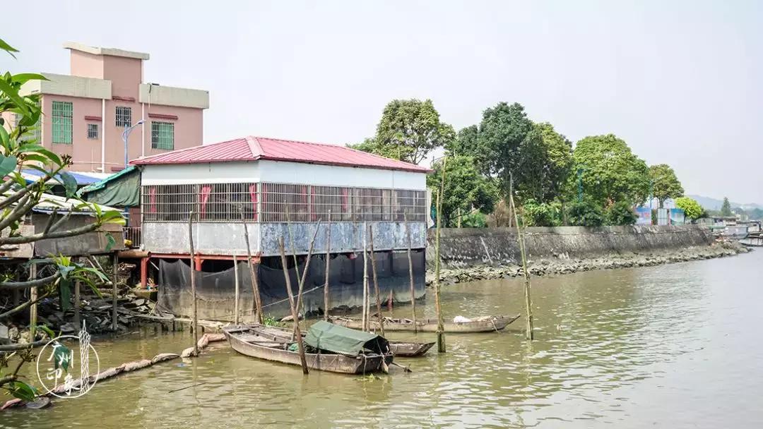 广州隐世峡谷游玩攻略,广州要坐船才能登的小岛