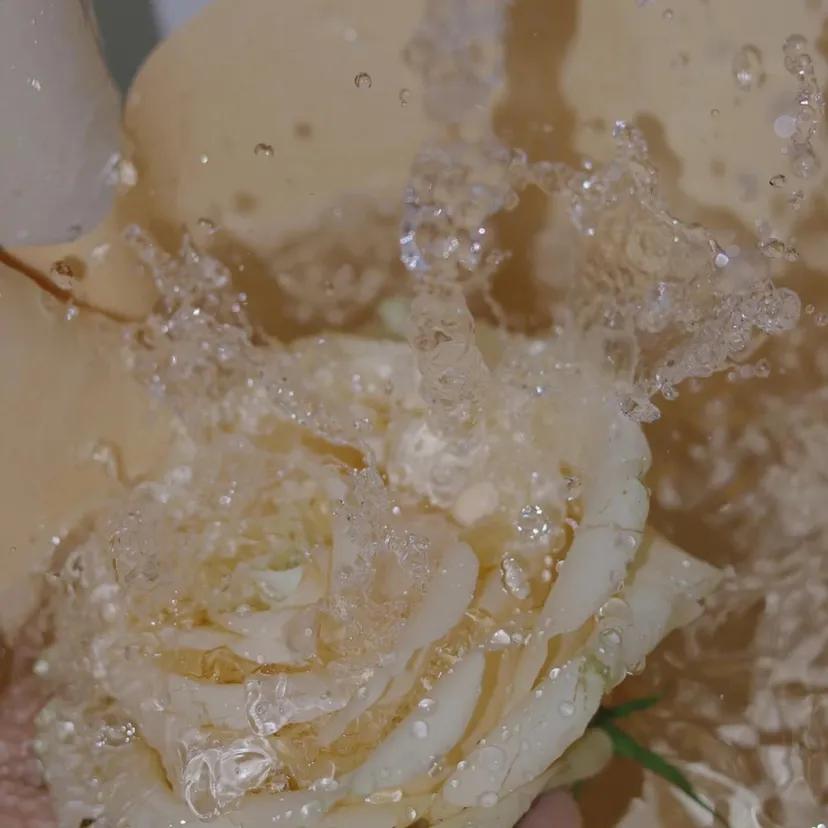 “浪漫黄玫瑰背景：玫瑰配你才浪漫，电影和你才好看”