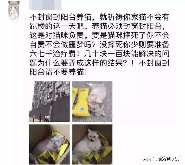 猫咪意外坠楼死了灵魂在家吗,猫死在窗户下好不好