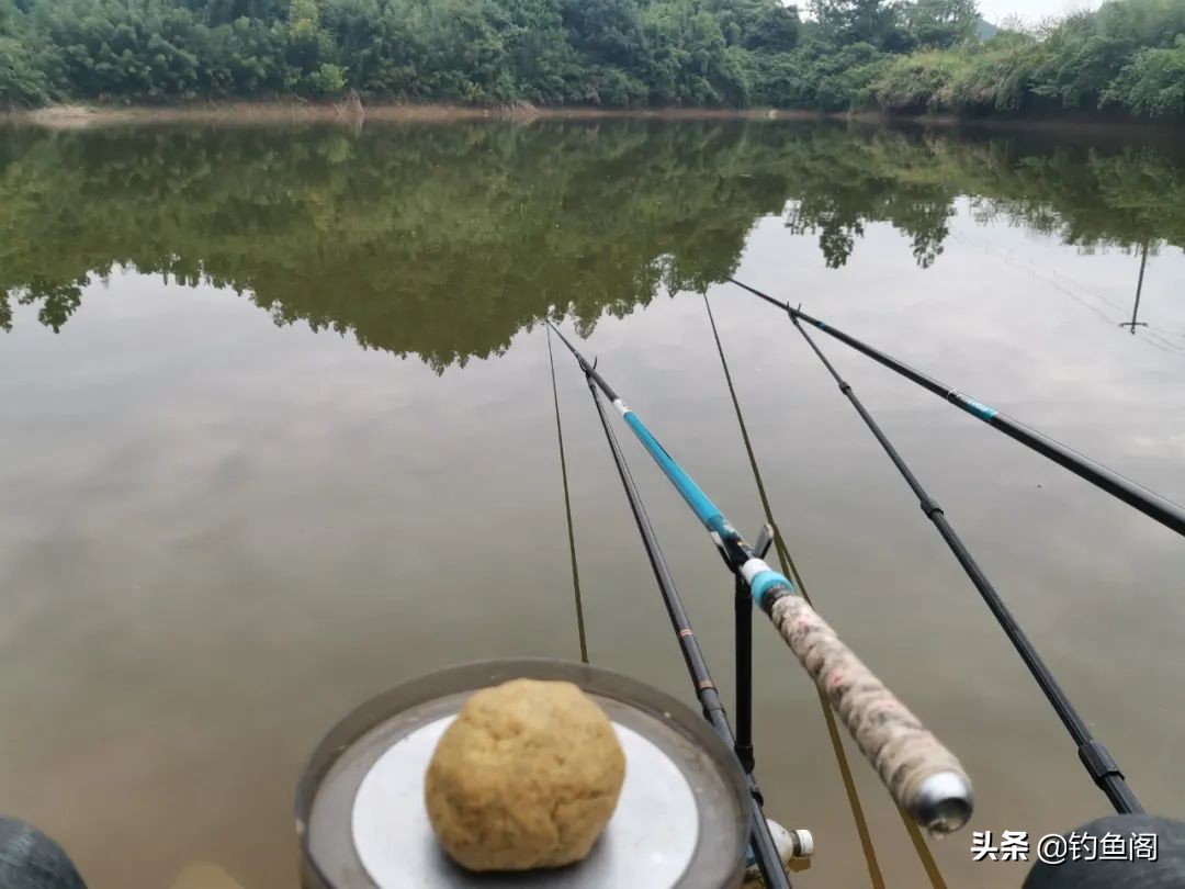 防止白条闹窝奇招,把白条锁定了就没事了
