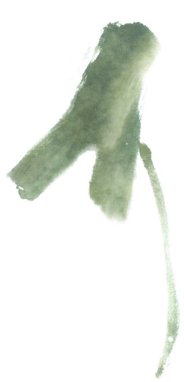 花卉国画教学视频,花卉画法教程中国画