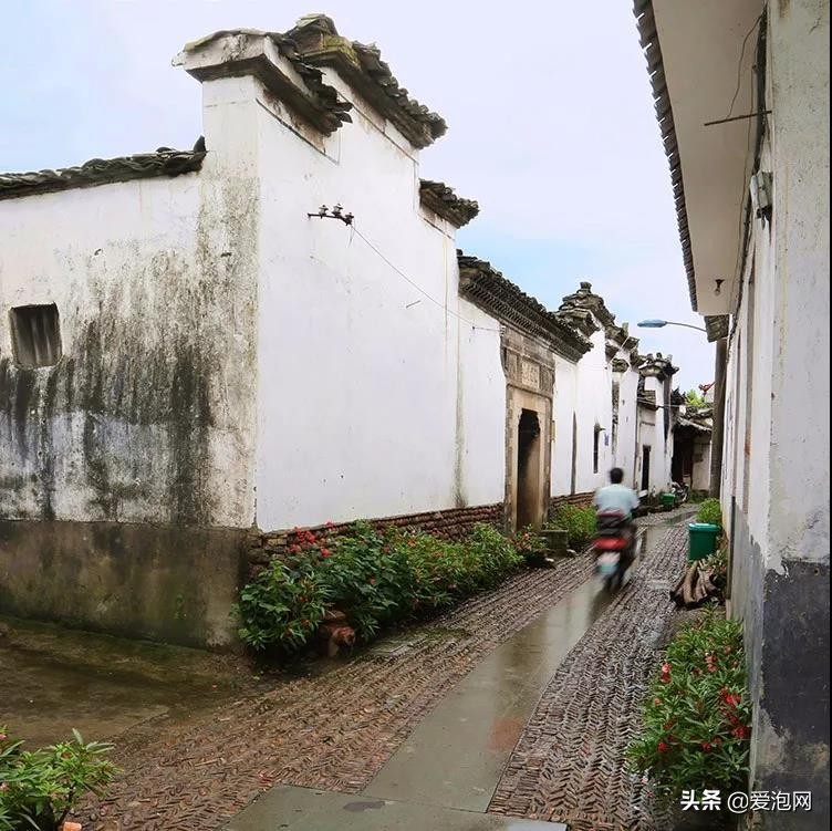 南方最适合自驾游的地方美爆了,江南十大最美自驾游路线