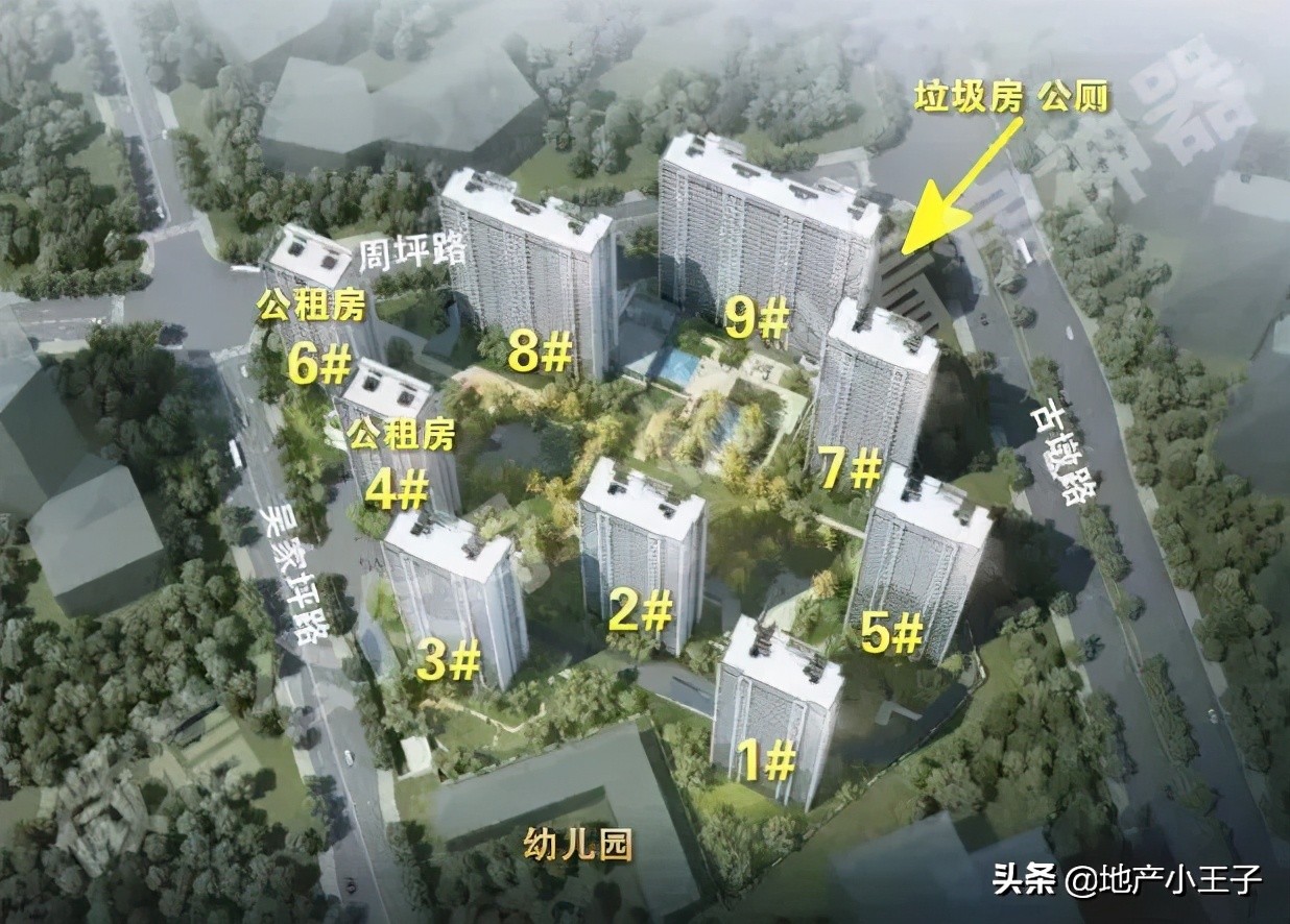 2019年摇红盘,摇不到的红盘