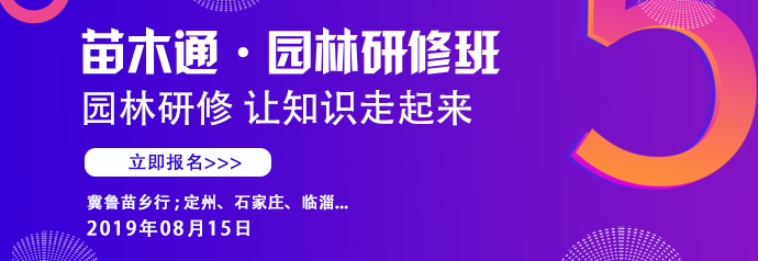 大米生虫是因为米不新鲜吗,大米生虫为什么不能晒