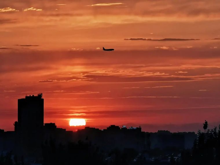 20个技巧，助您手机拍大片！（影展点评第455期）