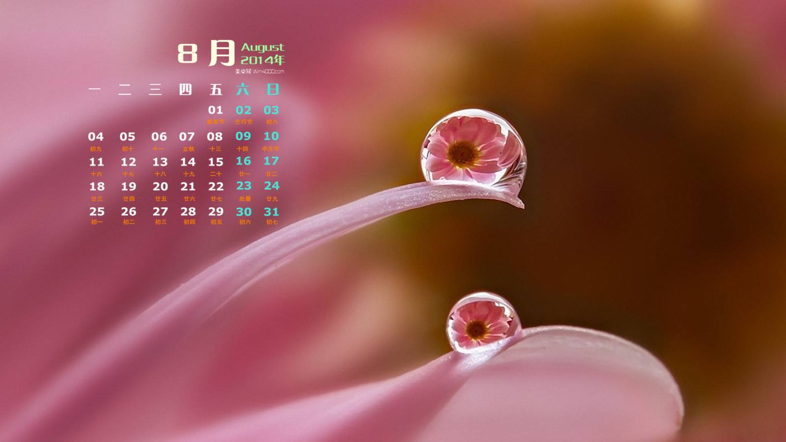 最新最全各类纪念日,不同国家的纪念日