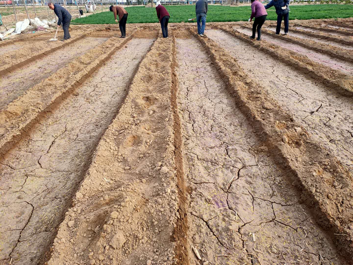 鸡泽龙泉疫情防控,鸡泽县疫情防控