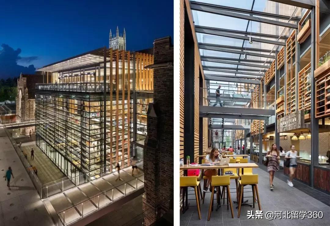 培养出苹果CEO的杜克是怎样一所大学？