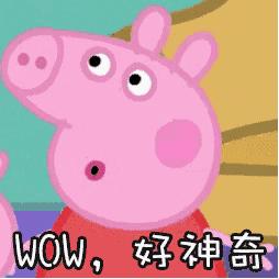 厦门公交免费日乘车,厦门乘公交车能用掌上公交支付吗