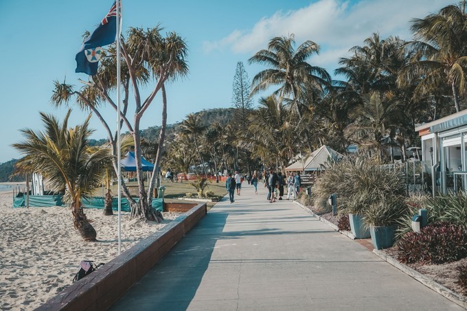 澳洲观鲸攻略,澳洲观鲸之旅